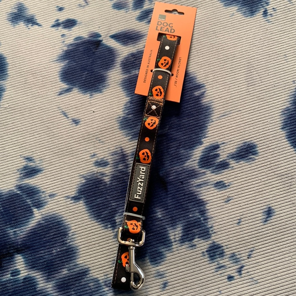 Halloween dog leash